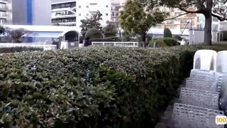 时间的玫瑰潮州20小伙怒操医院护士姐姐